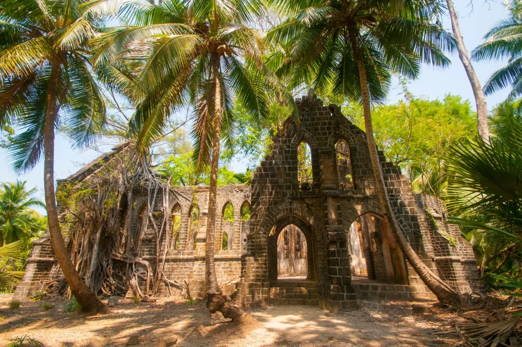 984o8haszljr04qnvw3p0o4j849x_shutterstock_766585048