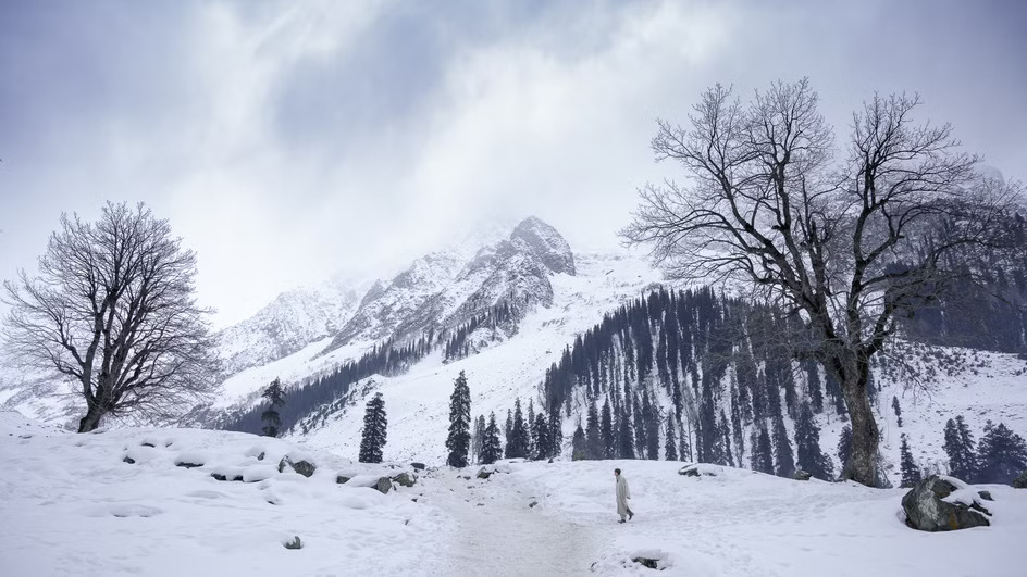jfaroarfrlk1y0tv0t6ufni13kru_sneha-chatterjee-DSVbYBt0kHY-unsplash