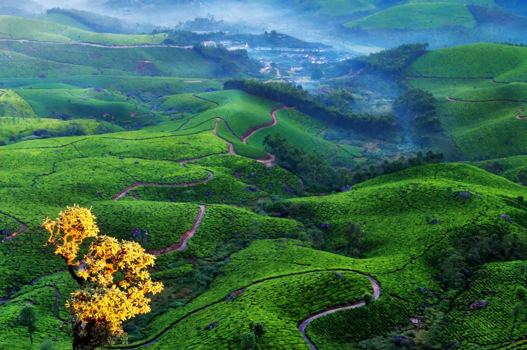 kerala-5