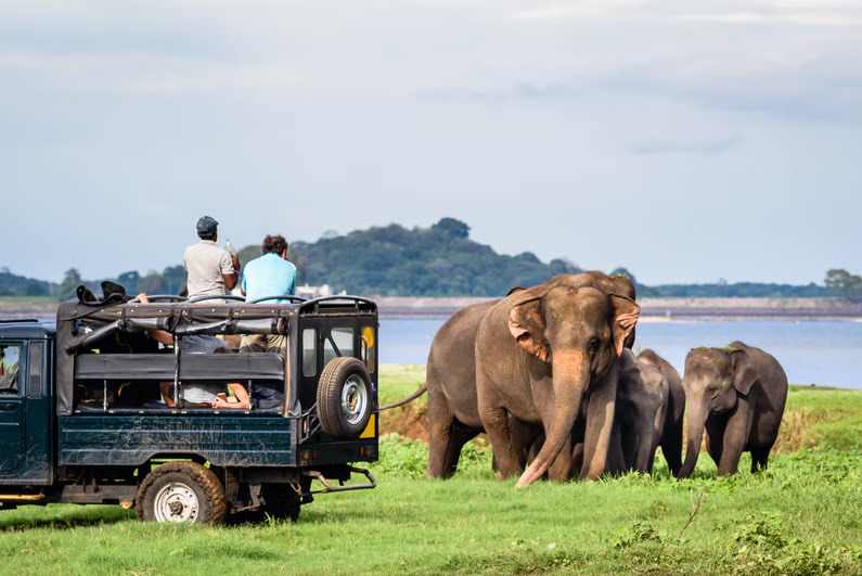 srilanka-1
