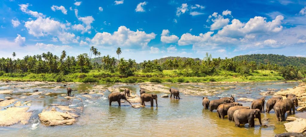 srilanka-2